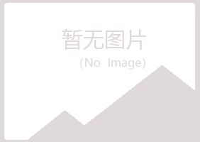 龙岩新罗山柏会计有限公司